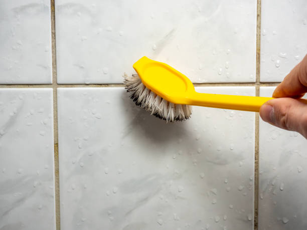 Best Mold Removal Near Me  in Downey, CA