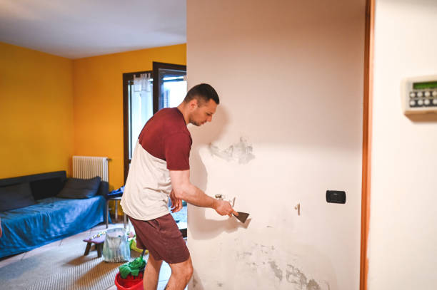 Best Professional Mold Removal  in Downey, CA